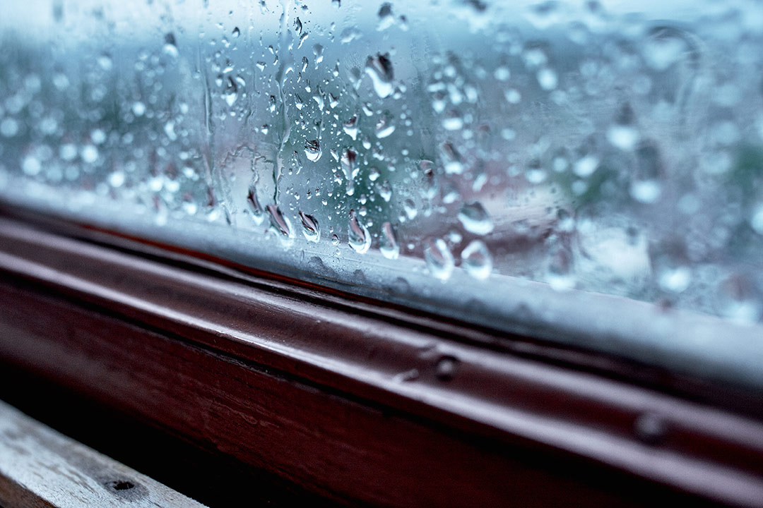 Condensation sur une fenêtre en bois en hiver.