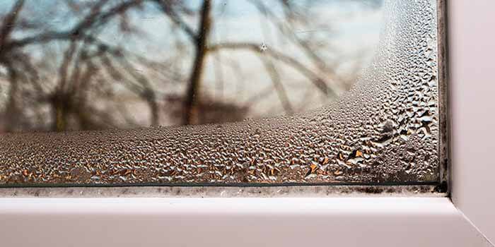 A close up view of condensation forming on a replacement window.