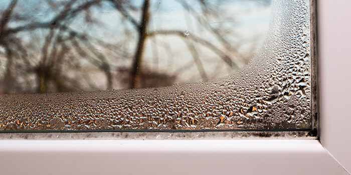 Une vue rapprochée de la condensation qui se forme sur une fenêtre de remplacement.